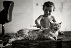 Alain Laboile photographie la famille et la nature